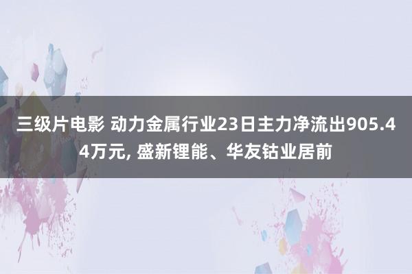 三级片电影 动力金属行业23日主力净流出905.44万元, 盛新锂能、华友钴业居前