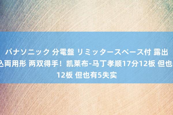 パナソニック 分電盤 リミッタースペース付 露出・半埋込両用形 两双得手！凯莱布-马丁孝顺17分12板 但也有5失实