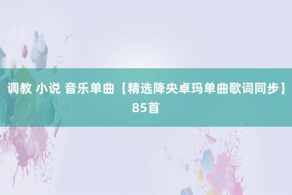 调教 小说 音乐单曲【精选降央卓玛单曲歌词同步】85首