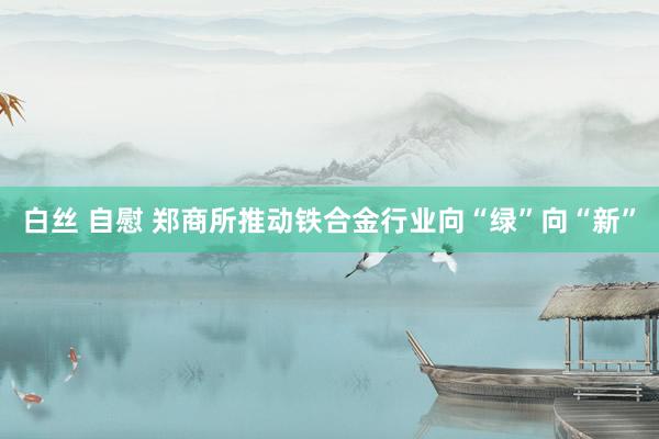 白丝 自慰 郑商所推动铁合金行业向“绿”向“新”