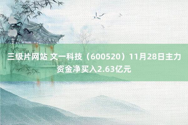 三级片网站 文一科技（600520）11月28日主力资金净买入2.63亿元