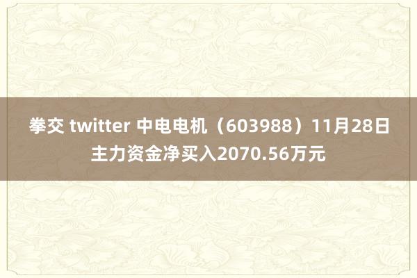 拳交 twitter 中电电机（603988）11月28日主力资金净买入2070.56万元