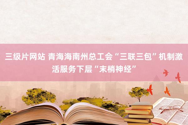 三级片网站 青海海南州总工会“三联三包”机制激活服务下层“末梢神经”