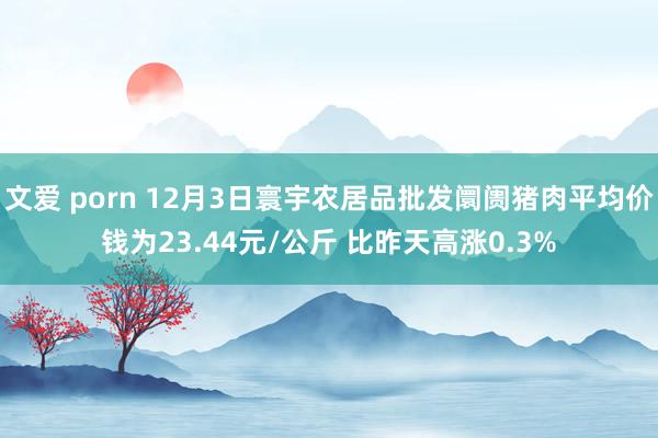文爱 porn 12月3日寰宇农居品批发阛阓猪肉平均价钱为23.44元/公斤 比昨天高涨0.3%