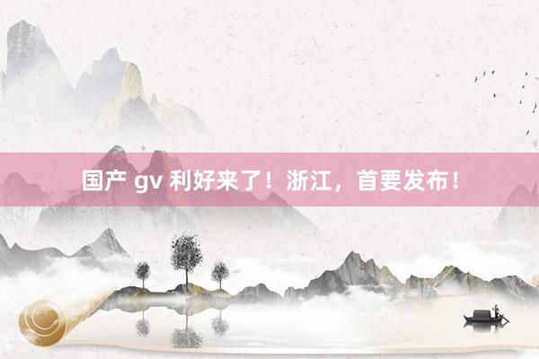 国产 gv 利好来了！浙江，首要发布！