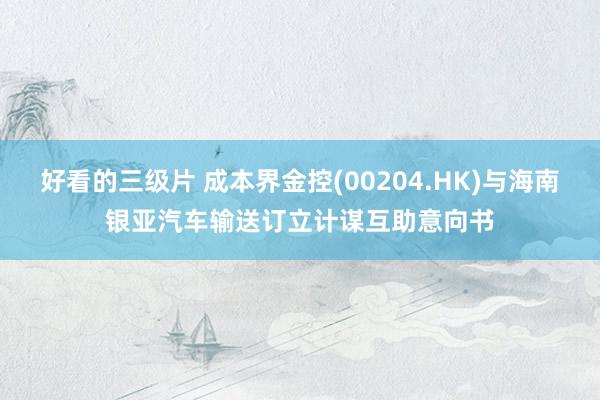 好看的三级片 成本界金控(00204.HK)与海南银亚汽车输送订立计谋互助意向书