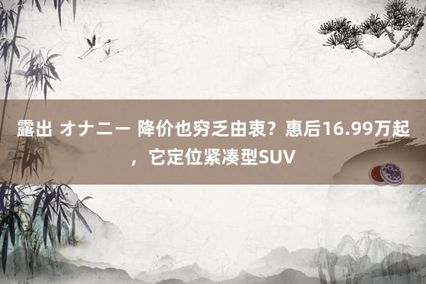 露出 オナニー 降价也穷乏由衷？惠后16.99万起，它定位紧凑型SUV