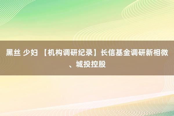 黑丝 少妇 【机构调研纪录】长信基金调研新相微、城投控股