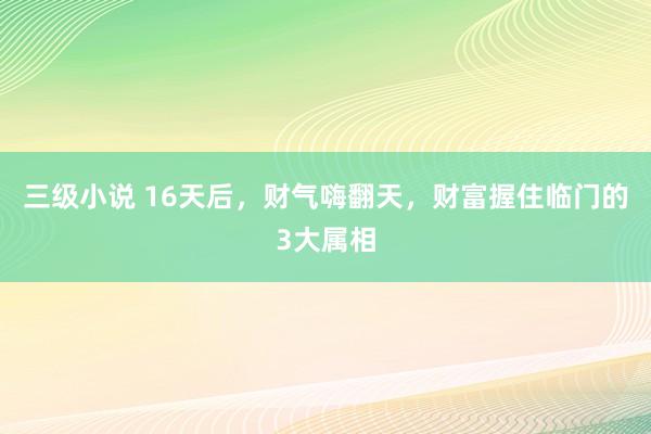 三级小说 16天后，财气嗨翻天，财富握住临门的3大属相