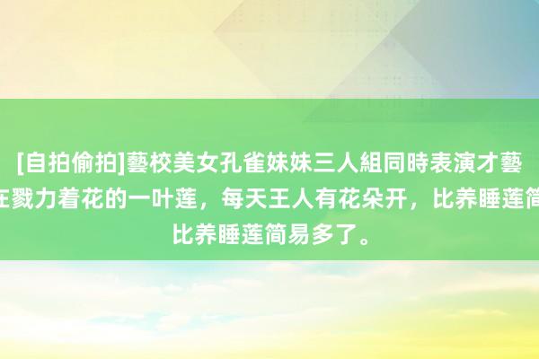 [自拍偷拍]藝校美女孔雀妹妹三人組同時表演才藝 冬季扔在戮力着花的一叶莲，每天王人有花朵开，比养睡莲简易多了。
