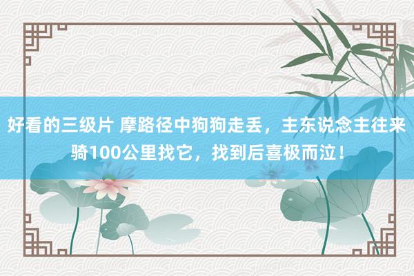 好看的三级片 摩路径中狗狗走丢，主东说念主往来骑100公里找它，找到后喜极而泣！