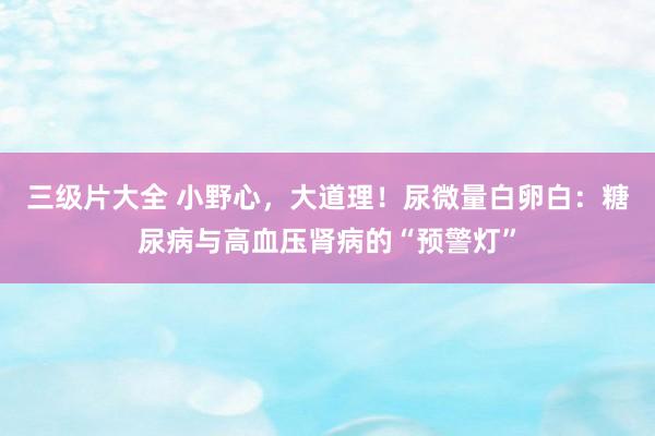 三级片大全 小野心，大道理！尿微量白卵白：糖尿病与高血压肾病的“预警灯”