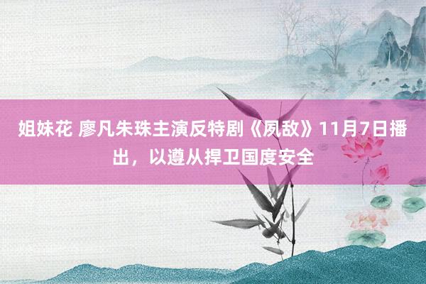 姐妹花 廖凡朱珠主演反特剧《夙敌》11月7日播出，以遵从捍卫国度安全