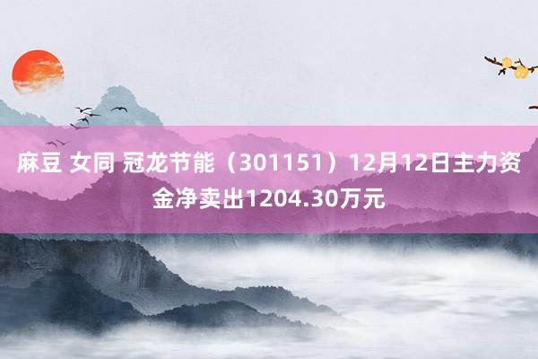 麻豆 女同 冠龙节能（301151）12月12日主力资金净卖出1204.30万元