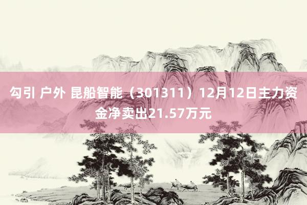 勾引 户外 昆船智能（301311）12月12日主力资金净卖出21.57万元