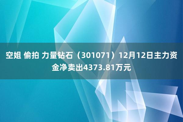 空姐 偷拍 力量钻石（301071）12月12日主力资金净卖出4373.81万元