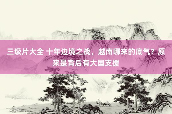 三级片大全 十年边境之战，越南哪来的底气？原来是背后有大国支援