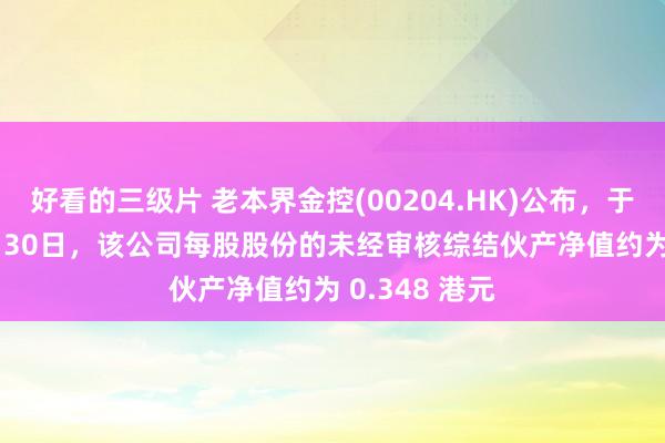 好看的三级片 老本界金控(00204.HK)公布，于2024年11月30日，该公司每股股份的未经审核综结伙产净值约为 0.348 港元