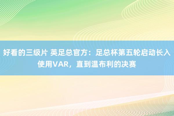 好看的三级片 英足总官方：足总杯第五轮启动长入使用VAR，直到温布利的决赛