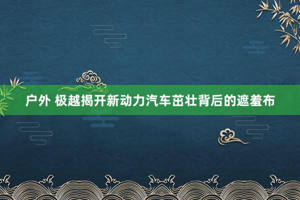 户外 极越揭开新动力汽车茁壮背后的遮羞布