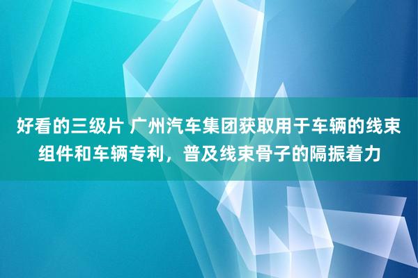 好看的三级片 广州汽车集团获取用于车辆的线束组件和车辆专利，普及线束骨子的隔振着力