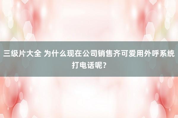 三级片大全 为什么现在公司销售齐可爱用外呼系统打电话呢？