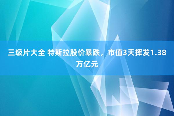 三级片大全 特斯拉股价暴跌，市值3天挥发1.38万亿元