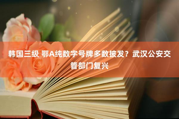 韩国三级 鄂A纯数字号牌多数披发？武汉公安交管部门复兴