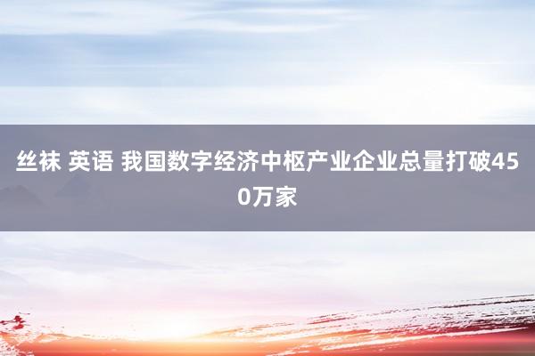 丝袜 英语 我国数字经济中枢产业企业总量打破450万家