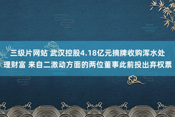 三级片网站 武汉控股4.18亿元摘牌收购浑水处理财富 来自二激动方面的两位董事此前投出弃权票