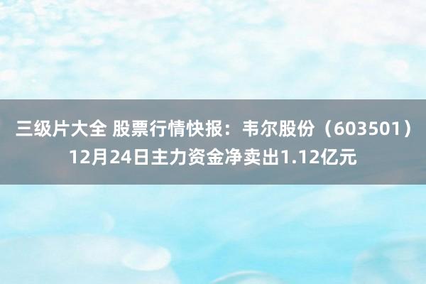 三级片大全 股票行情快报：韦尔股份（603501）12月24日主力资金净卖出1.12亿元