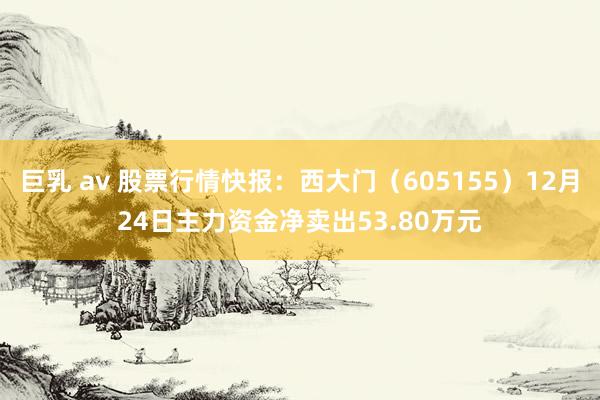 巨乳 av 股票行情快报：西大门（605155）12月24日主力资金净卖出53.80万元