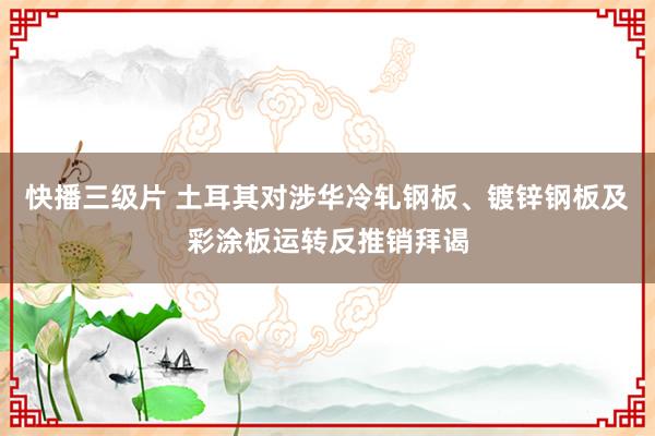 快播三级片 土耳其对涉华冷轧钢板、镀锌钢板及彩涂板运转反推销拜谒