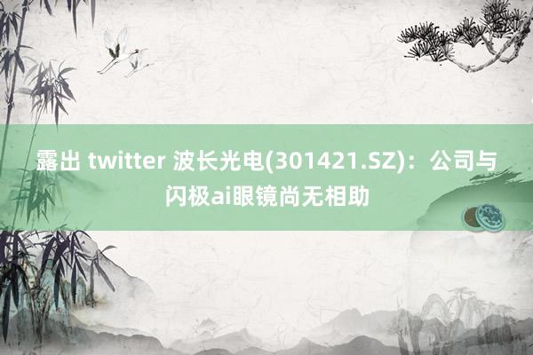 露出 twitter 波长光电(301421.SZ)：公司与闪极ai眼镜尚无相助