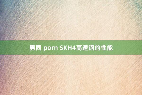 男同 porn SKH4高速钢的性能