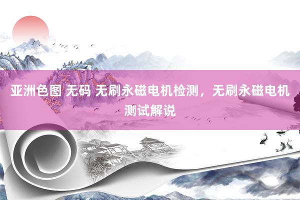 亚洲色图 无码 无刷永磁电机检测，无刷永磁电机测试解说