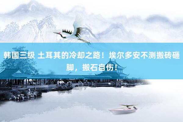 韩国三级 土耳其的冷却之路！埃尔多安不测搬砖砸脚，搬石自伤！