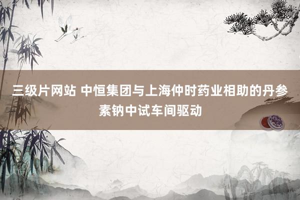 三级片网站 中恒集团与上海仲时药业相助的丹参素钠中试车间驱动