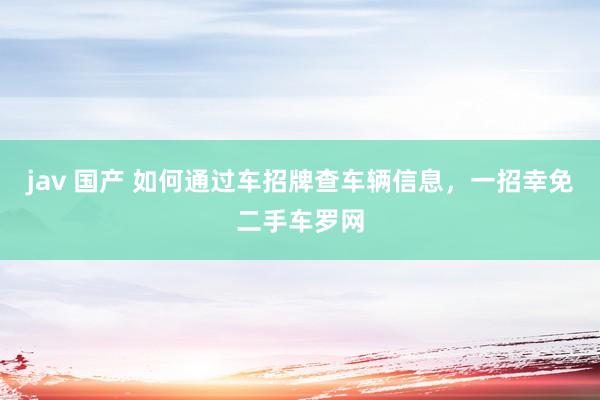 jav 国产 如何通过车招牌查车辆信息，一招幸免二手车罗网
