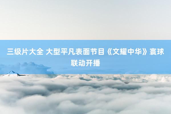 三级片大全 大型平凡表面节目《文耀中华》寰球联动开播