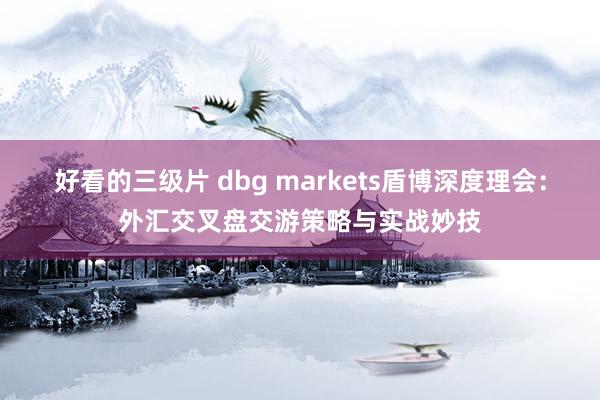 好看的三级片 dbg markets盾博深度理会：外汇交叉盘交游策略与实战妙技
