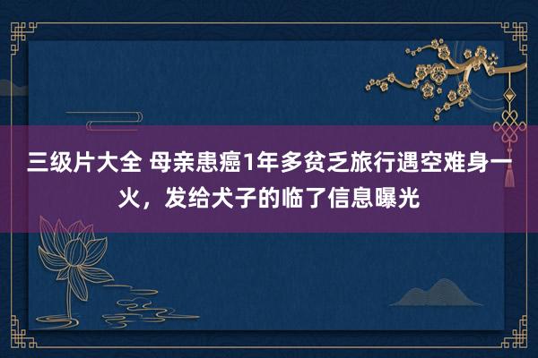 三级片大全 母亲患癌1年多贫乏旅行遇空难身一火，发给犬子的临了信息曝光