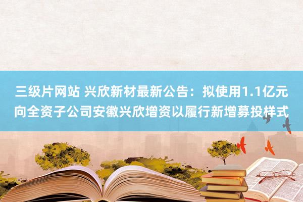 三级片网站 兴欣新材最新公告：拟使用1.1亿元向全资子公司安徽兴欣增资以履行新增募投样式