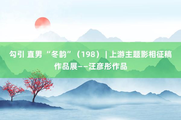 勾引 直男 “冬韵”（198） | 上游主题影相征稿作品展——汪彦彤作品