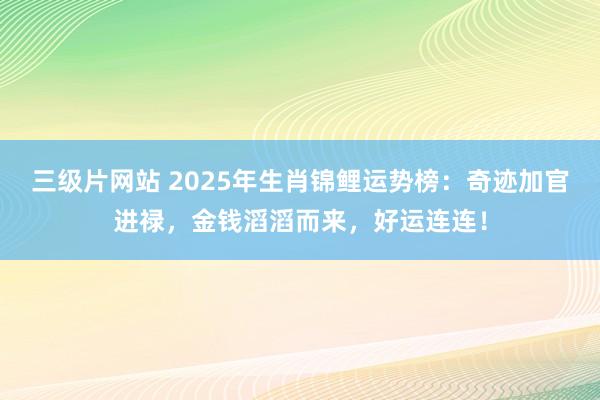 三级片网站 2025年生肖锦鲤运势榜：奇迹加官进禄，金钱滔滔而来，好运连连！
