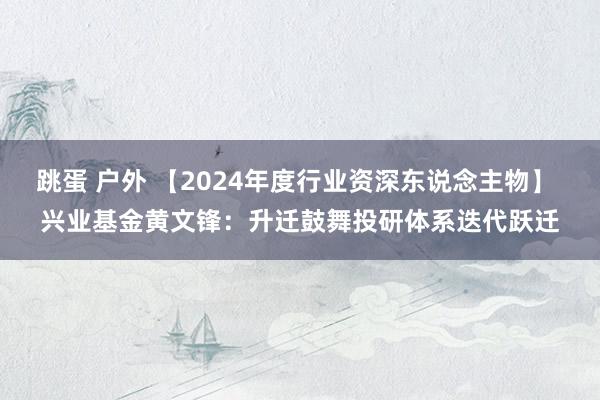 跳蛋 户外 【2024年度行业资深东说念主物】 兴业基金黄文锋：升迁鼓舞投研体系迭代跃迁