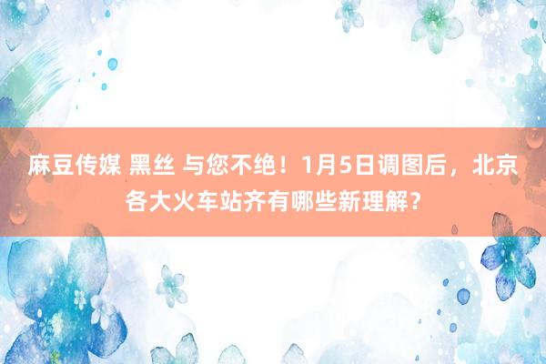 麻豆传媒 黑丝 与您不绝！1月5日调图后，北京各大火车站齐有哪些新理解？