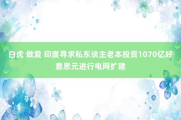 白虎 做爱 印度寻求私东谈主老本投资1070亿好意思元进行电网扩建