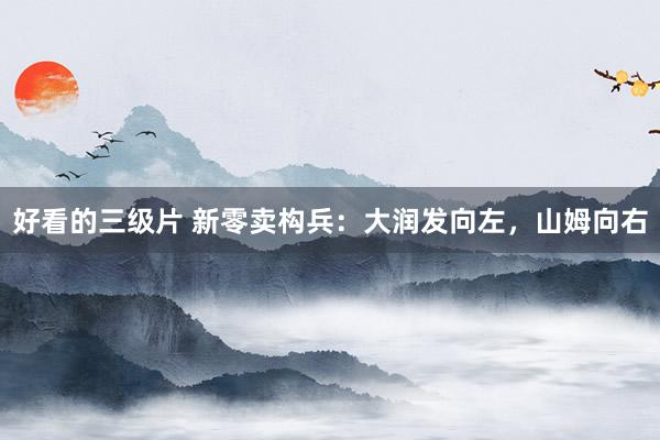 好看的三级片 新零卖构兵：大润发向左，山姆向右