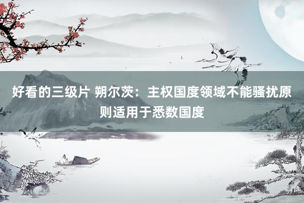 好看的三级片 朔尔茨：主权国度领域不能骚扰原则适用于悉数国度